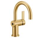 Single Handle Monoblock Bathroom Sink Faucet in Brushed Gold