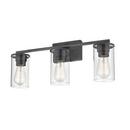 3-Light Vanity Fixture in Matte Black 