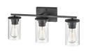 3-Light 22 in. Wide Bathroom Vanity Light in Matte Black