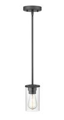 1-Light Pendant Light in Matte Black 