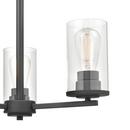 3-Light Chandelier Ceiling Light in Matte Black 