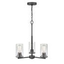 3-Light Chandelier Ceiling Light in Matte Black 