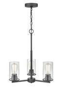3-Light 19 in. Wide Chandelier in Matte Black