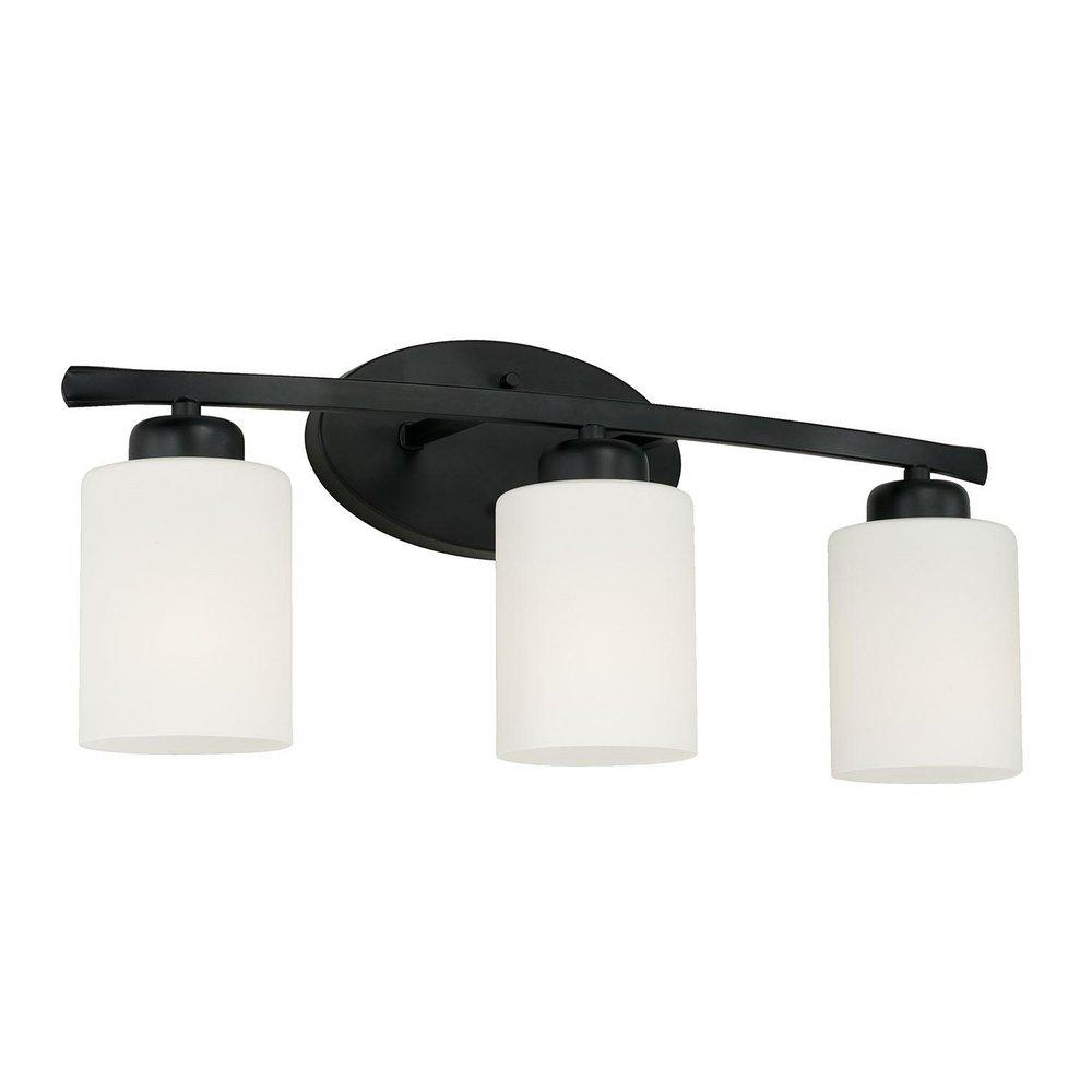 HomePlace by Capital Lighting Matte Black 300W 3-Light Medium E-26 Vanity Fixture 