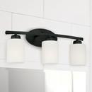 HomePlace by Capital Lighting Matte Black 300W 3-Light Medium E-26 Vanity Fixture 