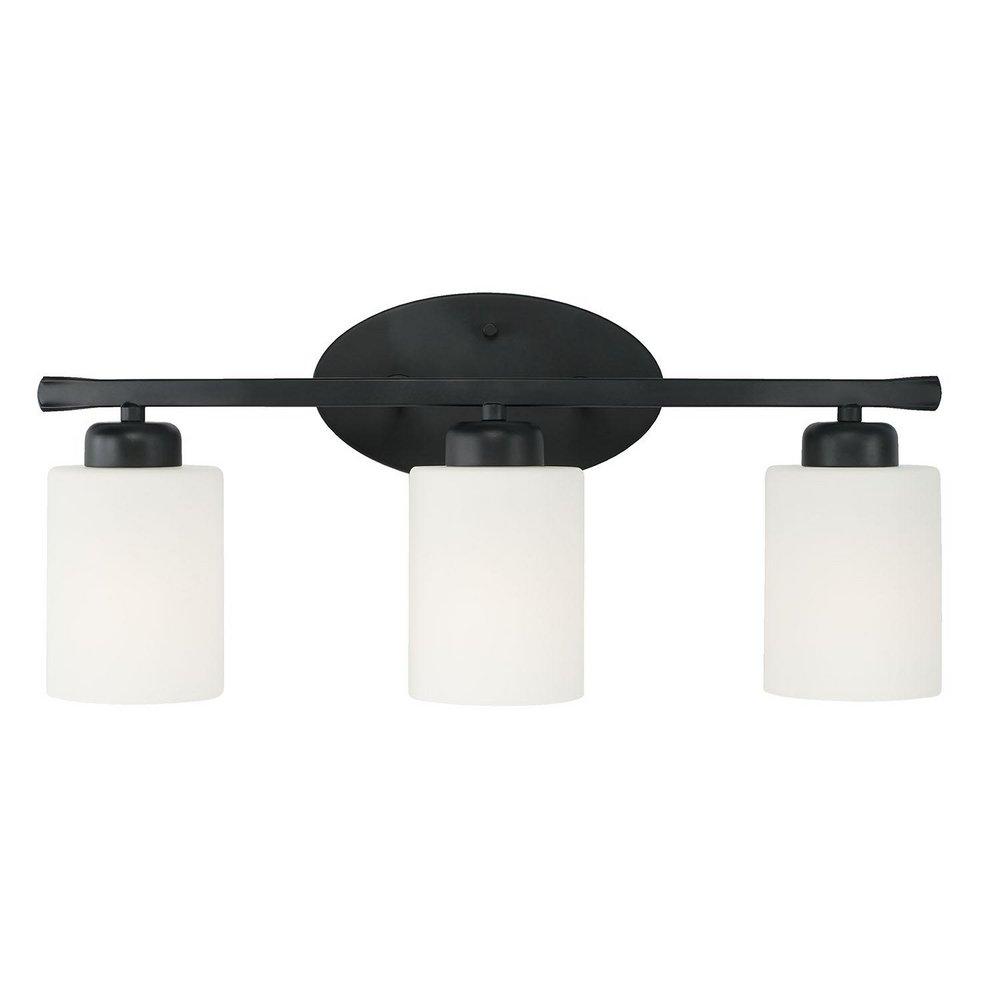 HomePlace by Capital Lighting Matte Black 300W 3-Light Medium E-26 Vanity Fixture 