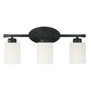 HomePlace by Capital Lighting Matte Black 300W 3-Light Medium E-26 Vanity Fixture 