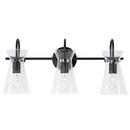 Capital Lighting Matte Black 300W 3-Light Medium E-26 Vanity Fixture 