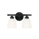 13 2-LIGHT SOFT WHITE GLASS VANITY IN MATTE BLACK 