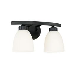 100W 2-Light Medium E-26 Vanity Fixture in Matte Black