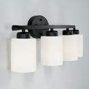 28 4-LIGHT SOFT WHITE GLASS VANITY IN MATTE BLACK 