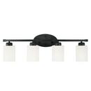 28 4-LIGHT SOFT WHITE GLASS VANITY IN MATTE BLACK 