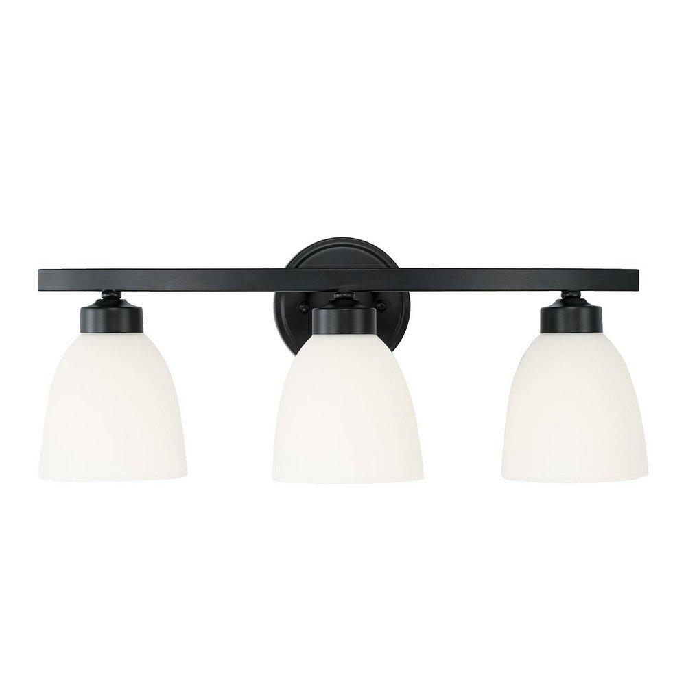 HomePlace by Capital Lighting Matte Black 300W 3-Light Medium E-26 Vanity Fixture 