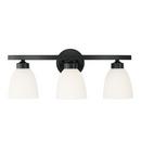 HomePlace by Capital Lighting Matte Black 300W 3-Light Medium E-26 Vanity Fixture 
