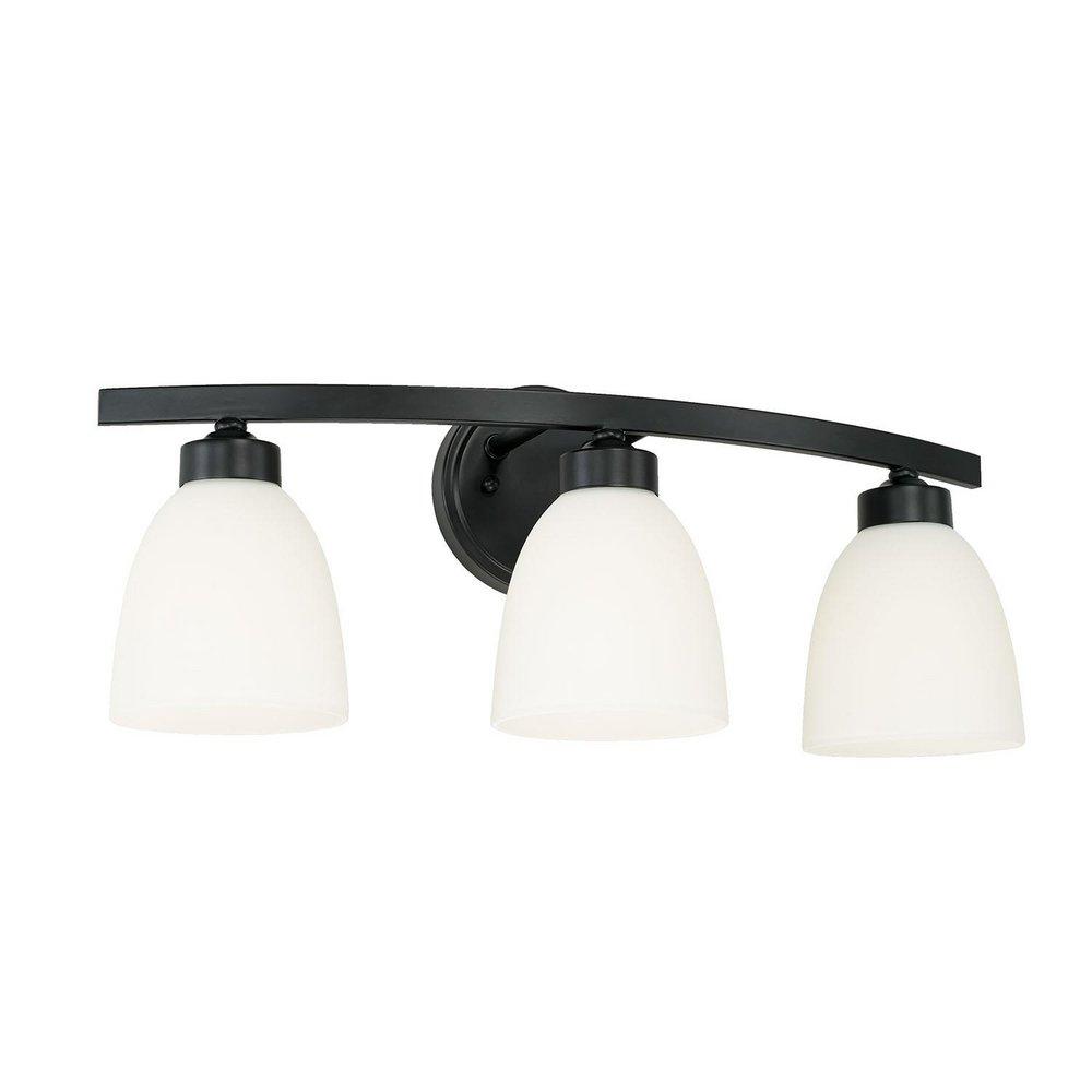 HomePlace by Capital Lighting Matte Black 300W 3-Light Medium E-26 Vanity Fixture 