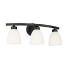 HomePlace by Capital Lighting Matte Black 300W 3-Light Medium E-26 Vanity Fixture 