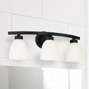 HomePlace by Capital Lighting Matte Black 300W 3-Light Medium E-26 Vanity Fixture 