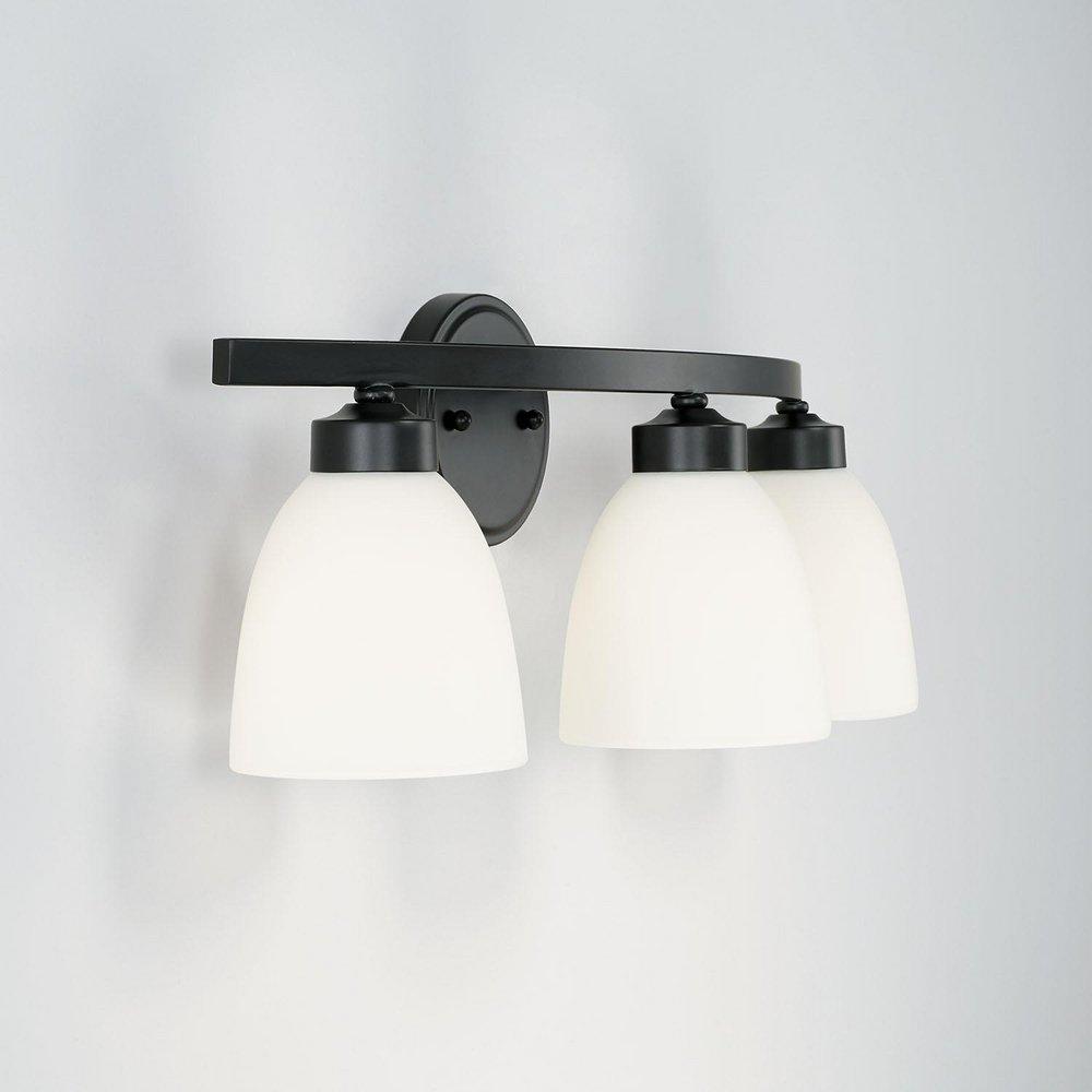 HomePlace by Capital Lighting Matte Black 300W 3-Light Medium E-26 Vanity Fixture 