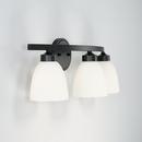 HomePlace by Capital Lighting Matte Black 300W 3-Light Medium E-26 Vanity Fixture 