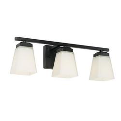 100W 3-Light Medium E-26 Vanity Fixture in Matte Black