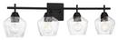 4-Light Bath Vanity Fixture 