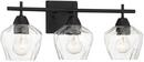 3-Light Vanity Fixture in Clear 