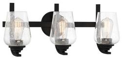 3-Light 22 in. Wide Vantage Bathroom Vanity Light in Coal