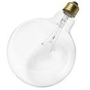 60W 6-3/4 in. G40 Incandescent Light Bulb with a Medium E-26 Base Dimmable in Clear