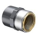 Grey IPS Spigot x Gasket Sewer DWV and SDR 35 PVC Adapter 