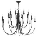 31-3/4 x 42 in. 40W 2-Tier 18-Light Incandescent Transitional Chandelier in Forged Iron