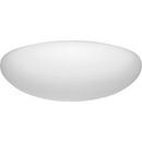 Progress Lighting White 16 in 32W 1-Light Fluorescent 4-Pin T9 Circline Flush Mount Ceiling Fixture 