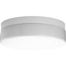 13-7/8 in 32W 1-Light Fluorescent 4-Pin T9 Circline Outdoor Ceiling Fixture in White