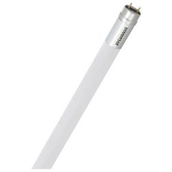 18W T8 LED Light with 5000 Kelvin Type B Bulb