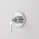 Signature Hardware Chrome Two Handle Single Function Shower System 
