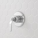 Signature Hardware Chrome Two Handle Single Function Shower System 