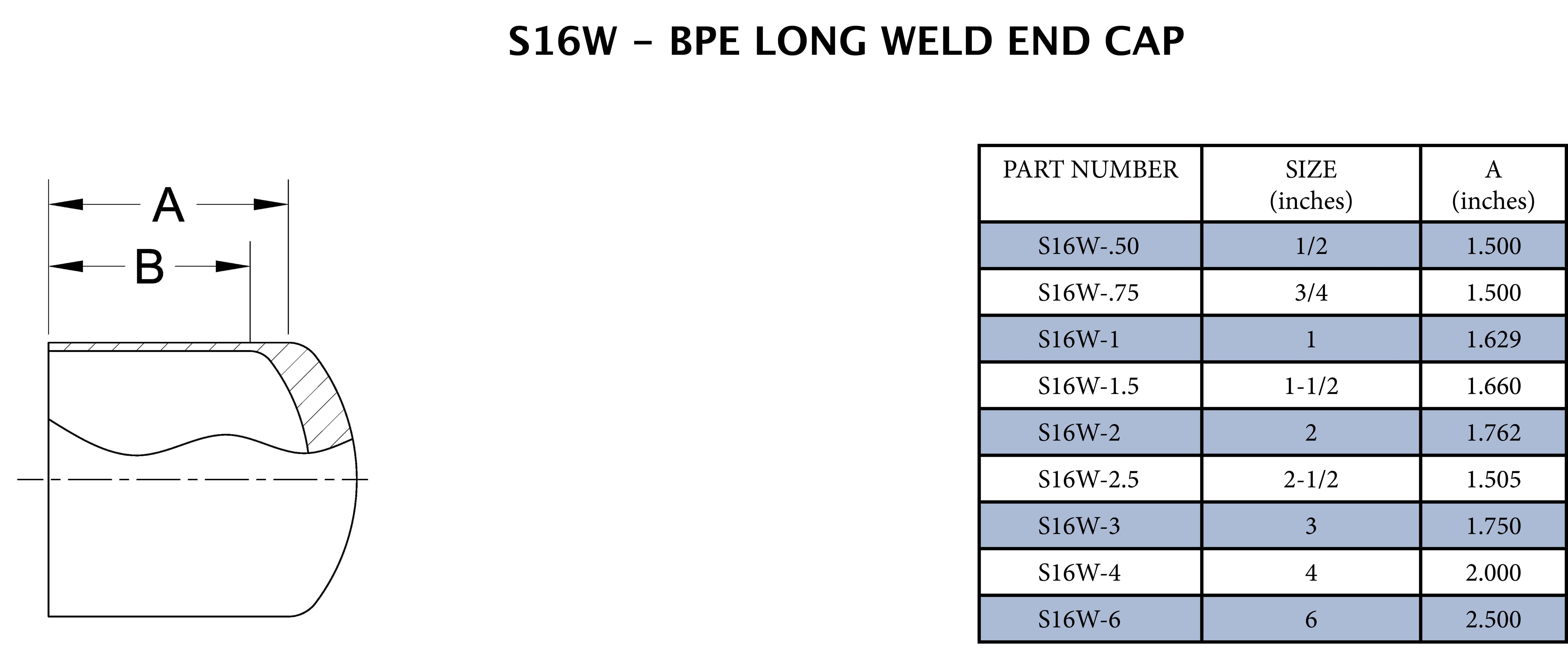 1/2 in 316L Stainless Steel Butt Weld End Cap 