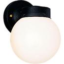 100W 1-Light Incandescent Outdoor Wall Sconce in Black