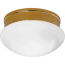 60W 2-Light Medium Base Fitter Close-to-Ceiling Light in Polished Brass