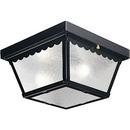60 W 2-Light Medium Outdoor Flush Mount Ceiling in Black with Textured Glass