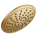 Single Function Showerhead in Brushed Gold