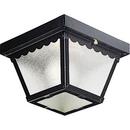60W 1-Light Outdoor Ceiling Lantern in Black