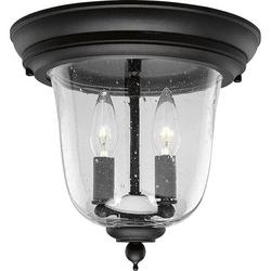 60 W 2-Light Candelabra Flush Mount Ceiling Fixture in Black