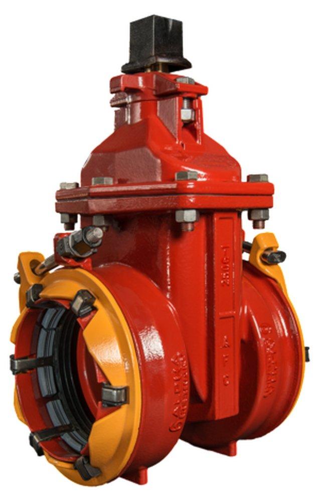 10 DI RW OL GATE VLV STD ALPHA X FL 