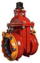 10 DI RW OL GATE VLV STD ALPHA X FL 