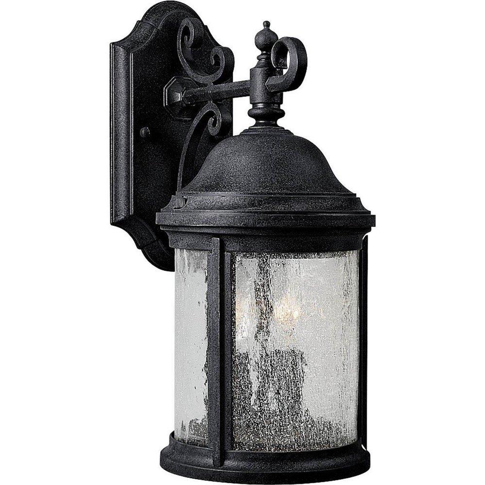 Progress Lighting Textured Black 15-3/4 x 6-5/8 in. 60W 2-Light Outdoor Wall Lantern 