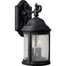Progress Lighting Textured Black 15-3/4 x 6-5/8 in. 60W 2-Light Outdoor Wall Lantern 