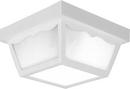 Progress Lighting White 60W 2-Light Non-Metallic Ceiling Light 