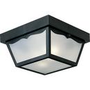 2 Light 60W Outdoor Non-Metallic Ceiling Light with White Acrylic Diffuser Black