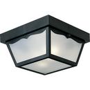 Progress Lighting Black 60W 2-Light Non-Metallic Ceiling Light 