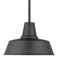 75W 1-Light Medium E-26 Outdoor Pendant in Black